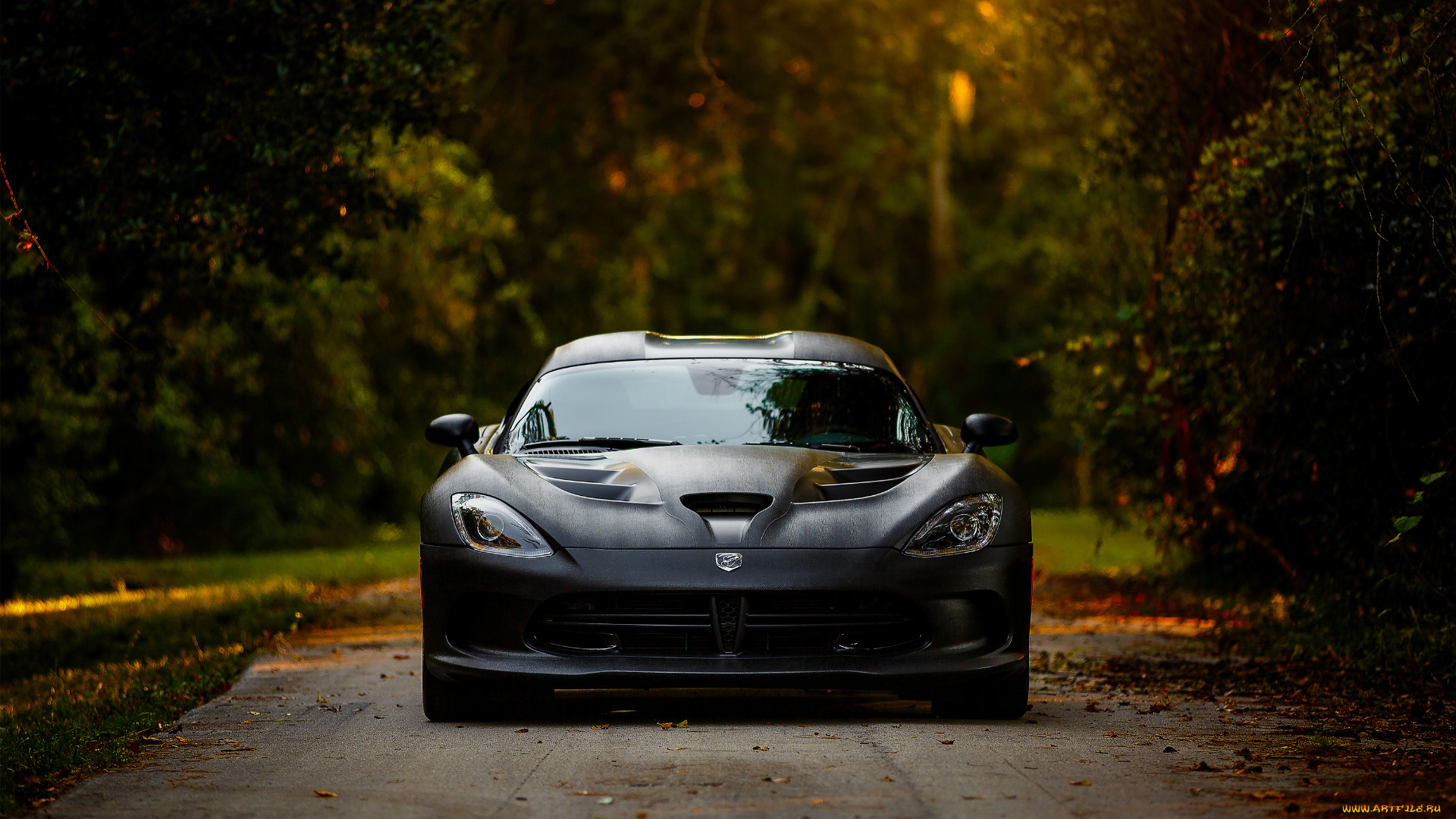 , dodge, viper